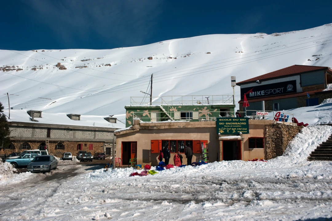 Cedars Lebanon 02.03.2010-6