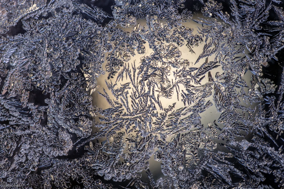Elements Ground&Window Frost-131