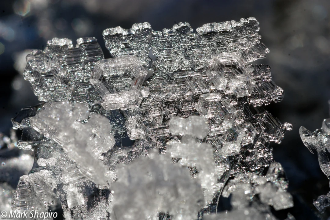 Elements-Ground Frost-120