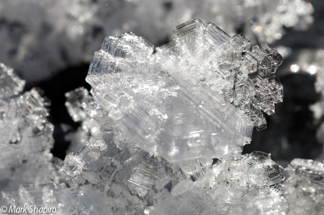 Elements-Ground Frost-122