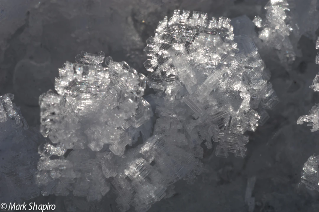 Elements-Ground Frost-126