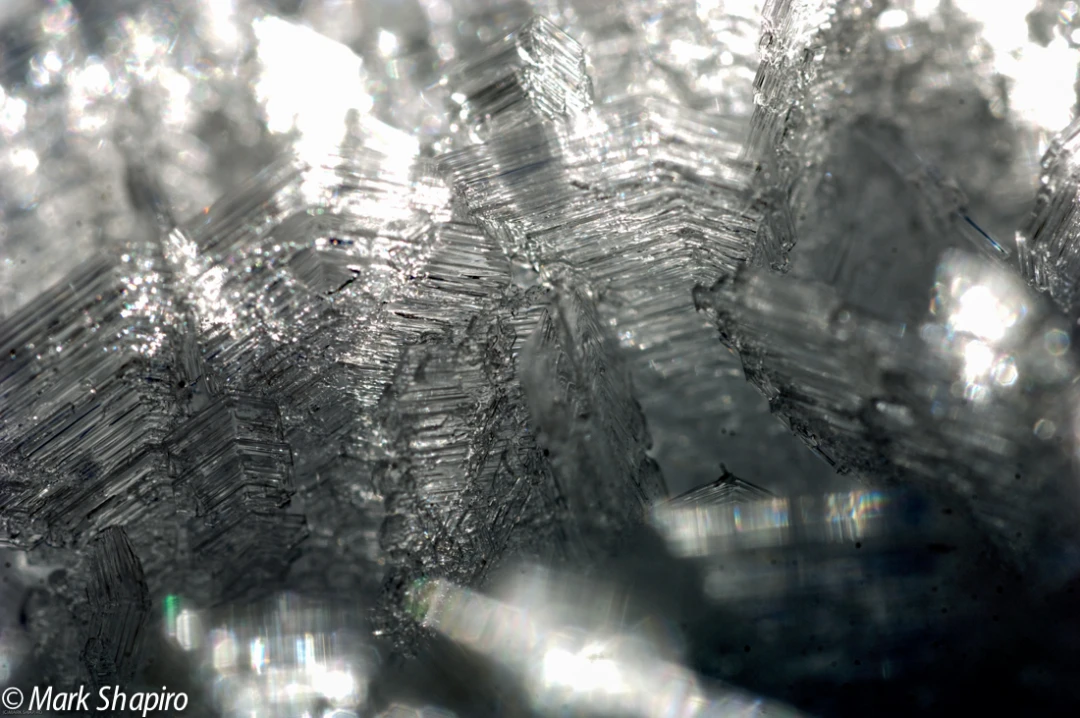 Elements-Ground Frost-139