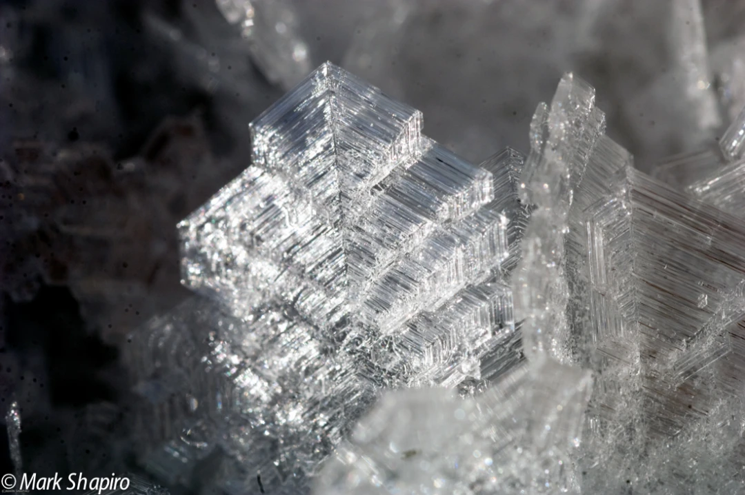 Elements-Ground Frost-141