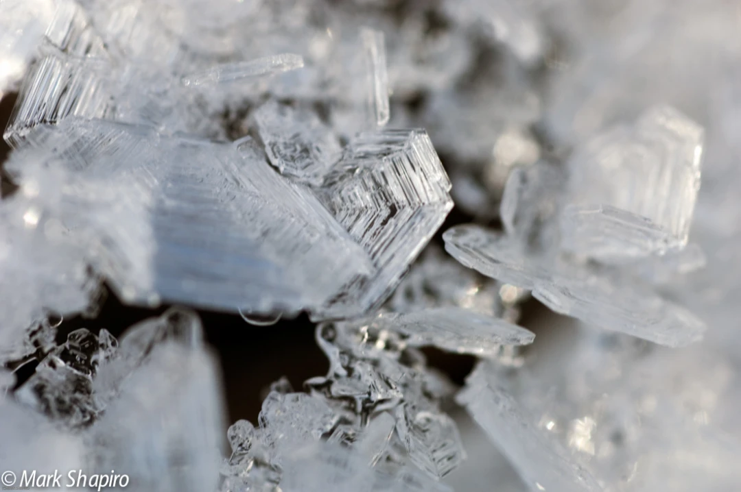 Elements-Ground Frost-155