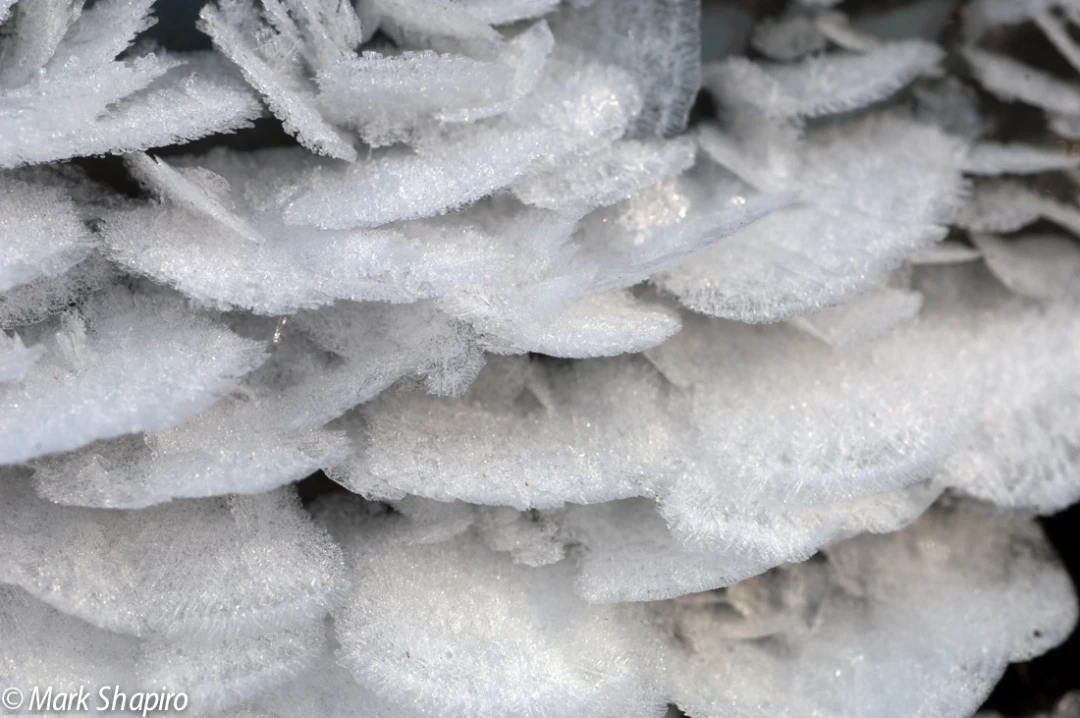 Elements-Ground Frost-24