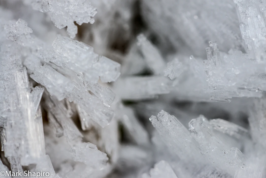 Elements-Ground Frost-272