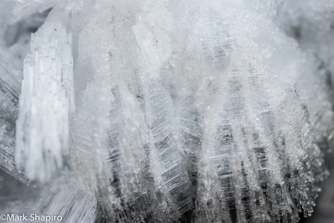 Elements-Ground Frost-281