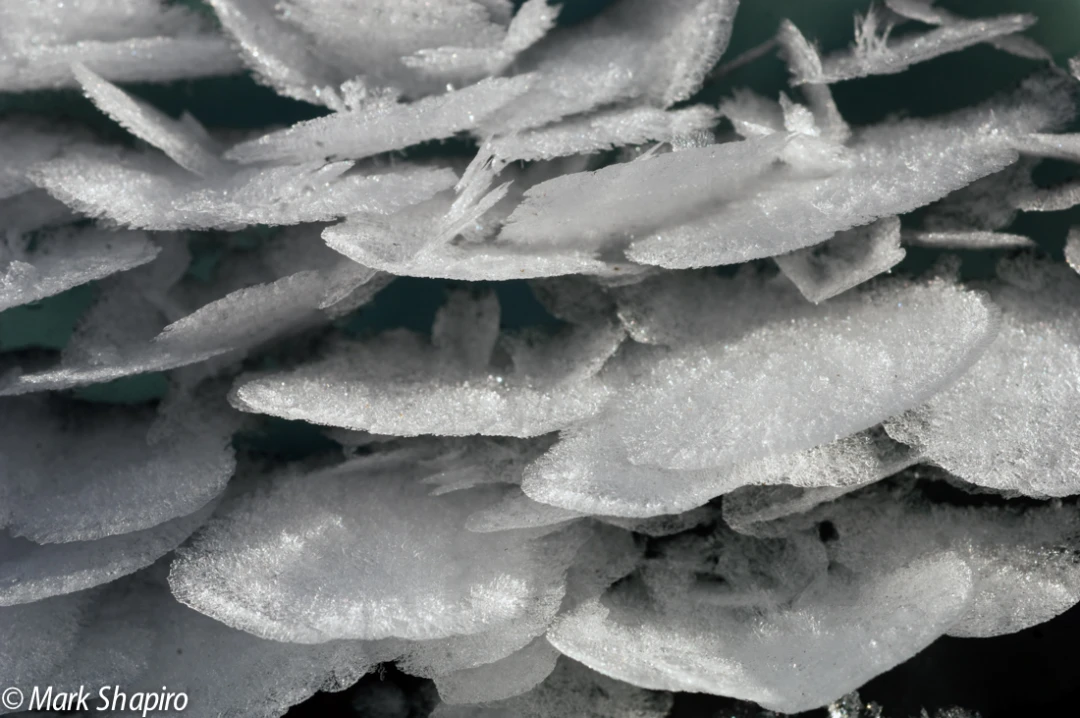 Elements-Ground Frost-34