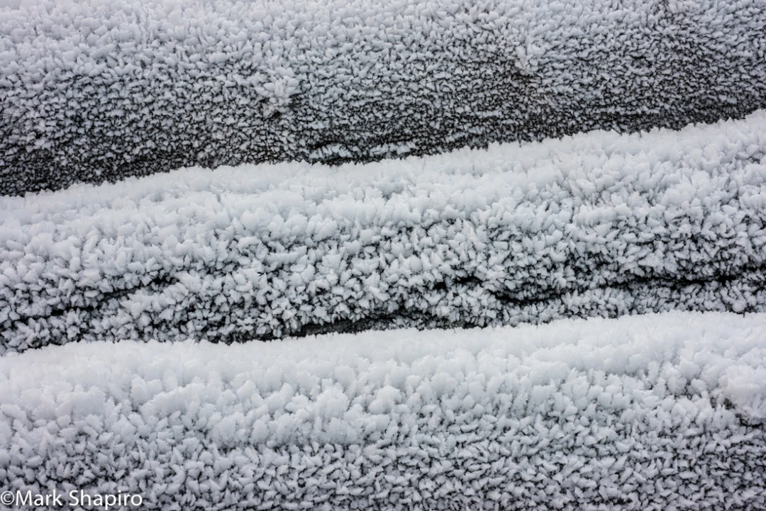 Elements-Ground Frost-385