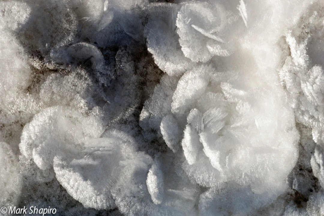 Elements-Ground Frost-56
