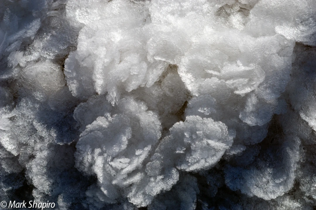 Elements-Ground Frost-61