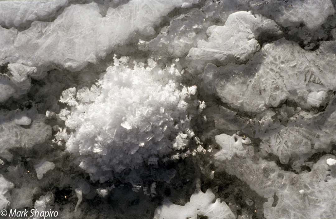 Elements-Ground Frost-83