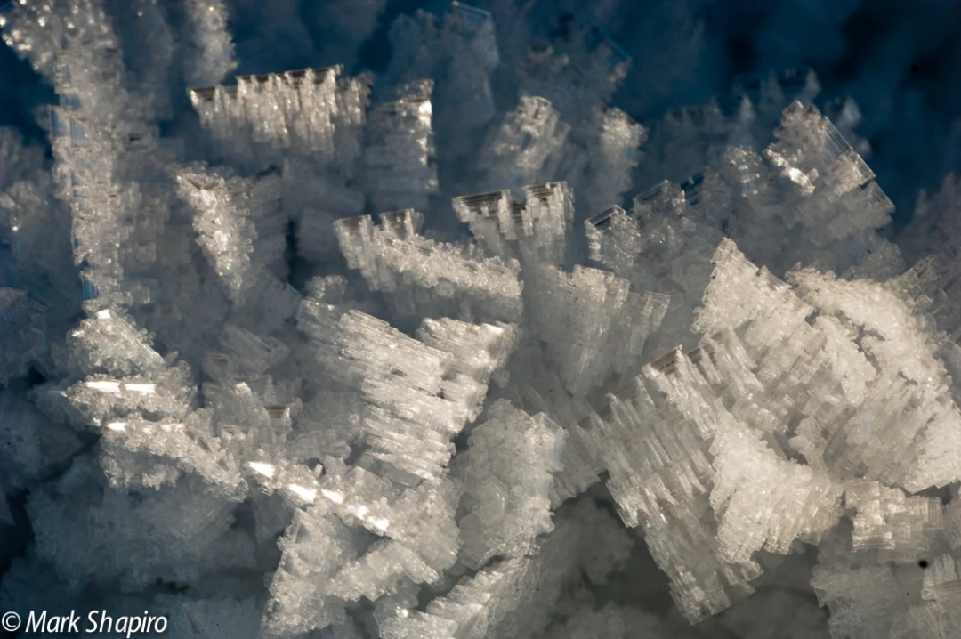 Elements-Ground Frost-89
