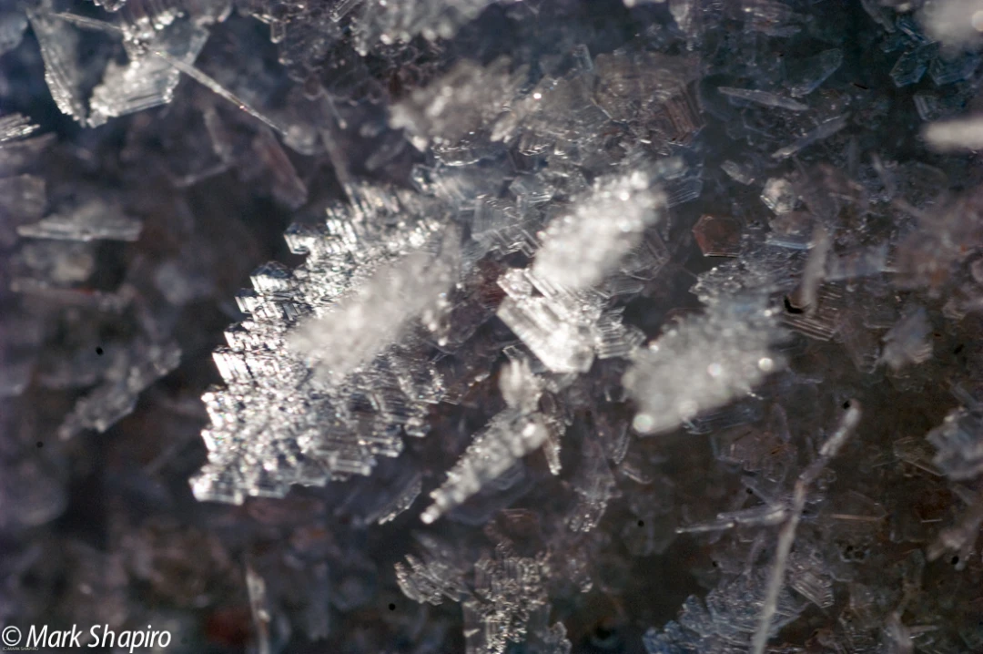 Elements-Ground Frost-93