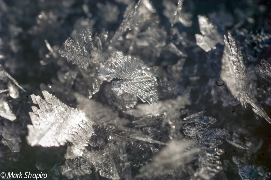 Elements-Ground Frost-95