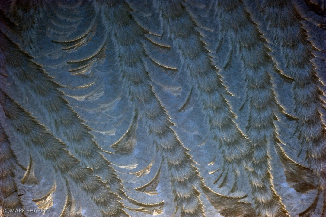 Elements-Window Frost-193