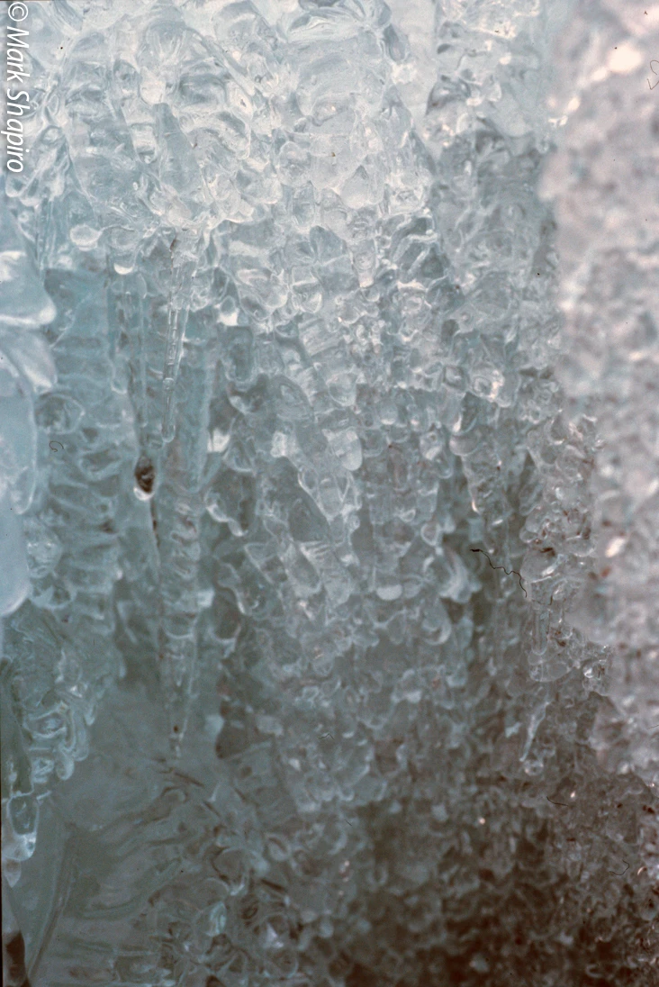 Ice-44