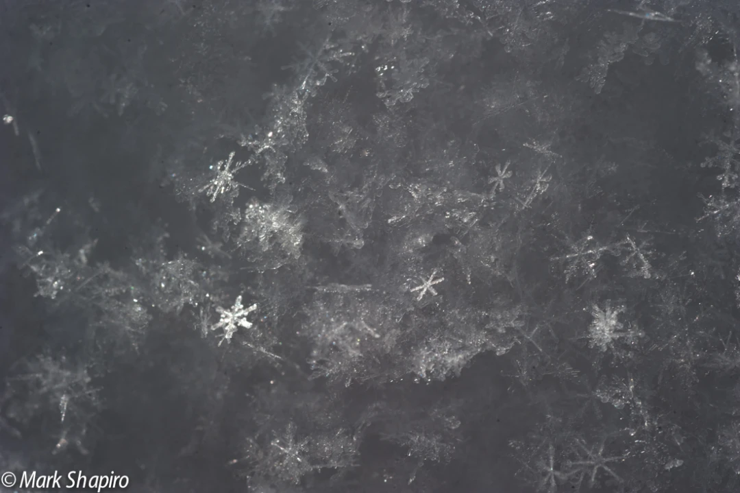 Powder Snow-13