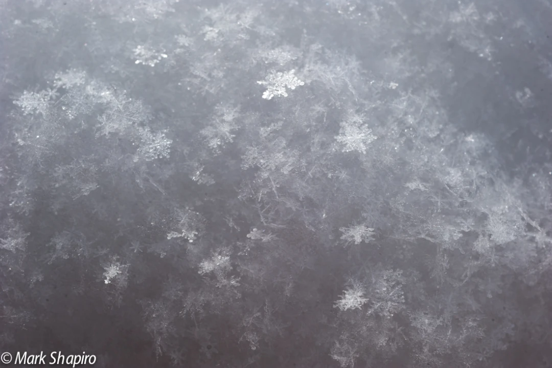 Powder Snow-2