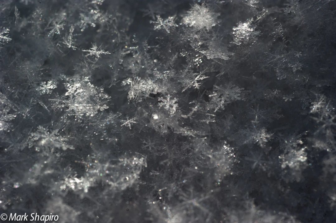 Powder Snow-32