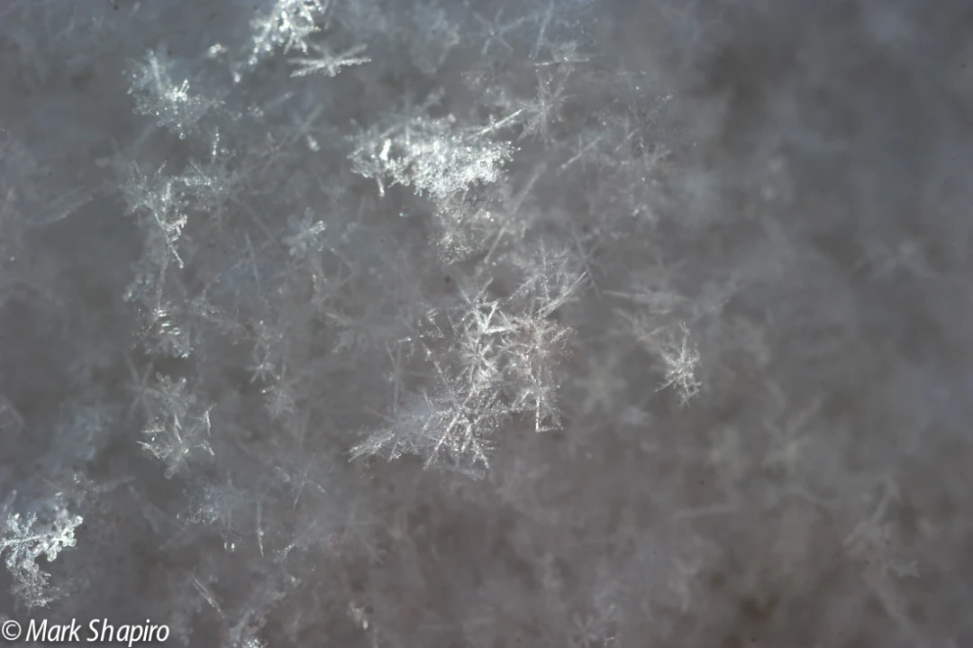 Powder Snow-36