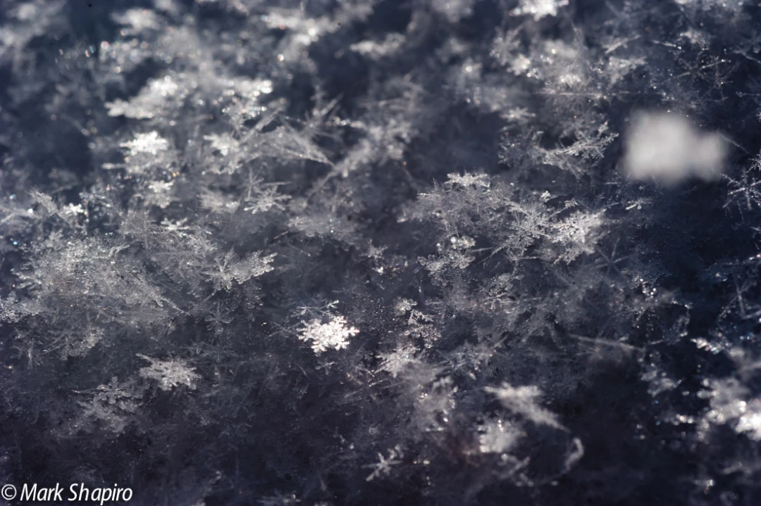 Powder Snow-62